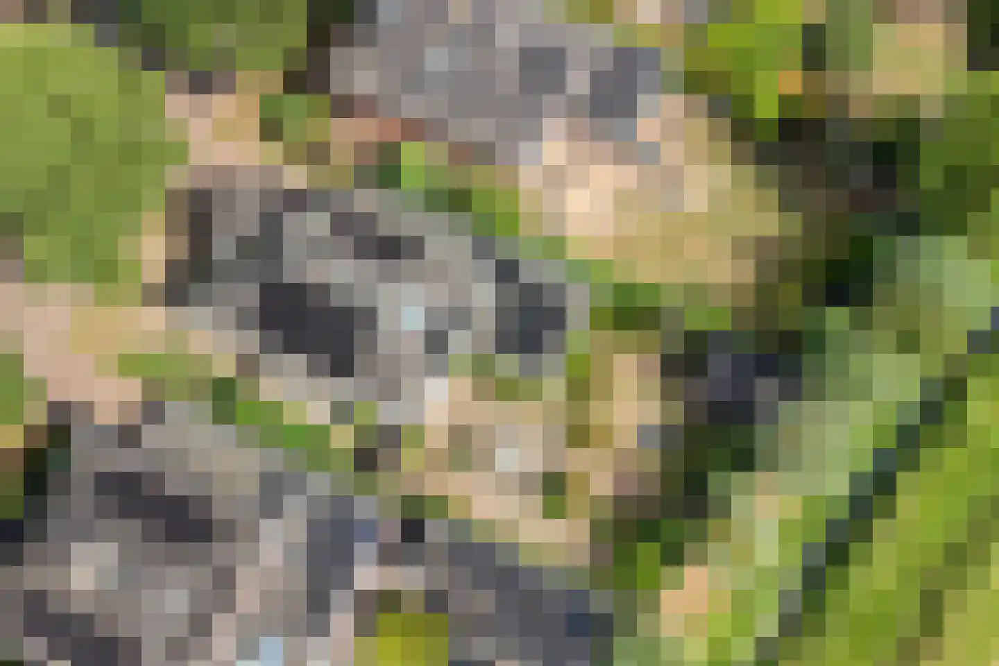 Seesinkbeeklaan 9 Terborg thumbnail 53