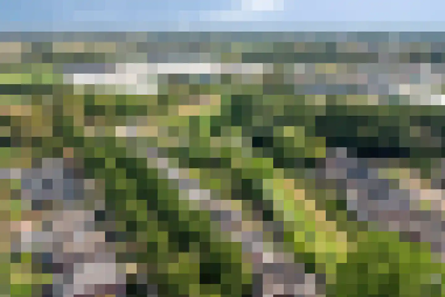 Seesinkbeeklaan 9 Terborg thumbnail 55