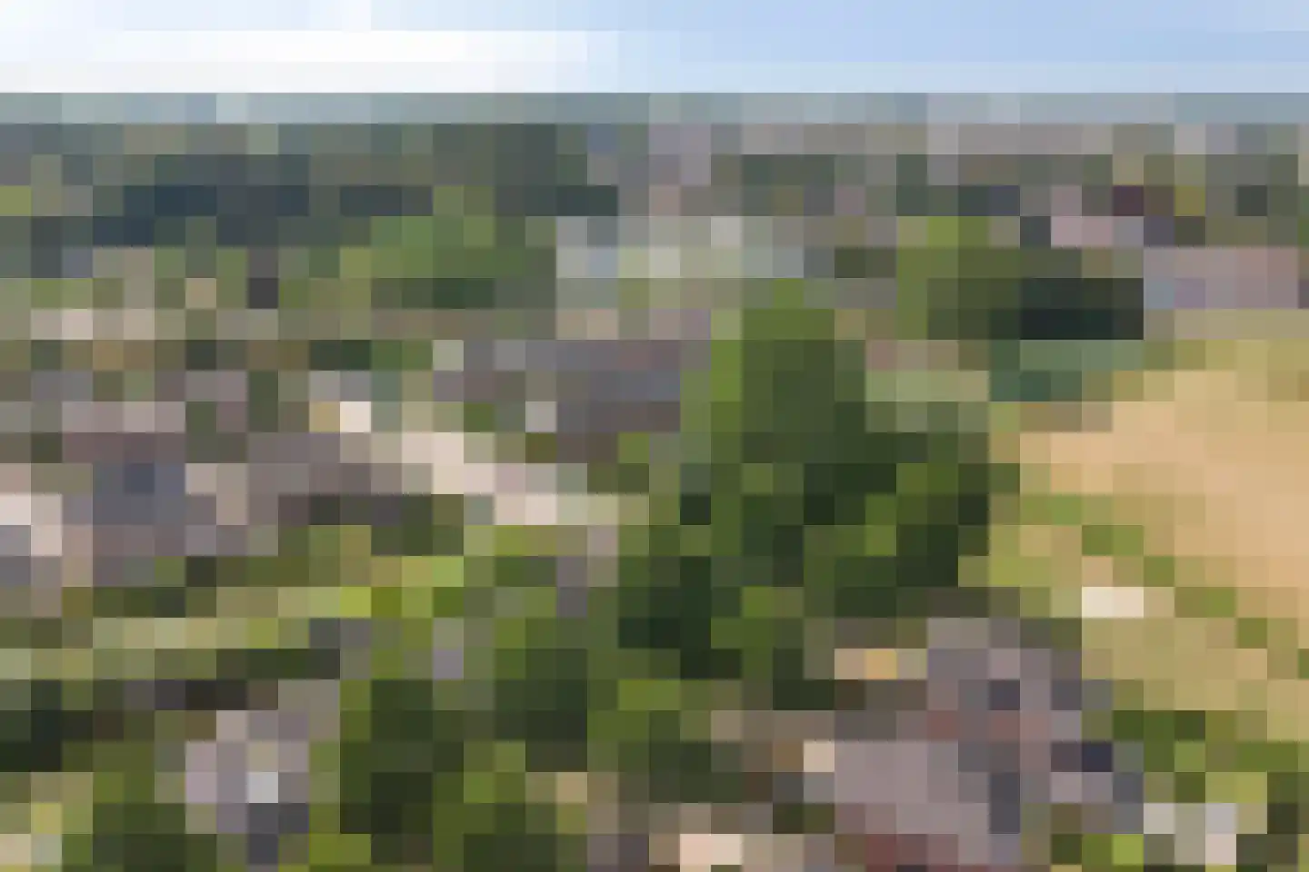 Seesinkbeeklaan 9 Terborg thumbnail 57