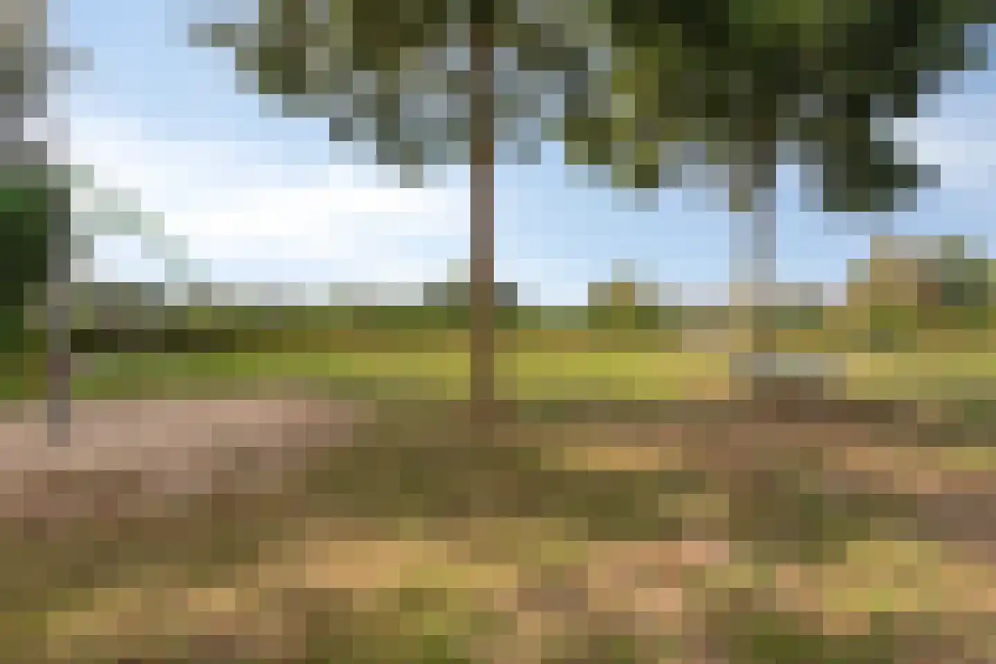 Seesinkbeeklaan 9 Terborg thumbnail 58