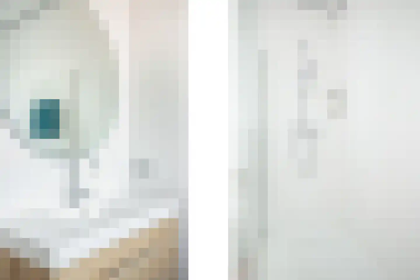 Seestjer 1 Stiens thumbnail 11