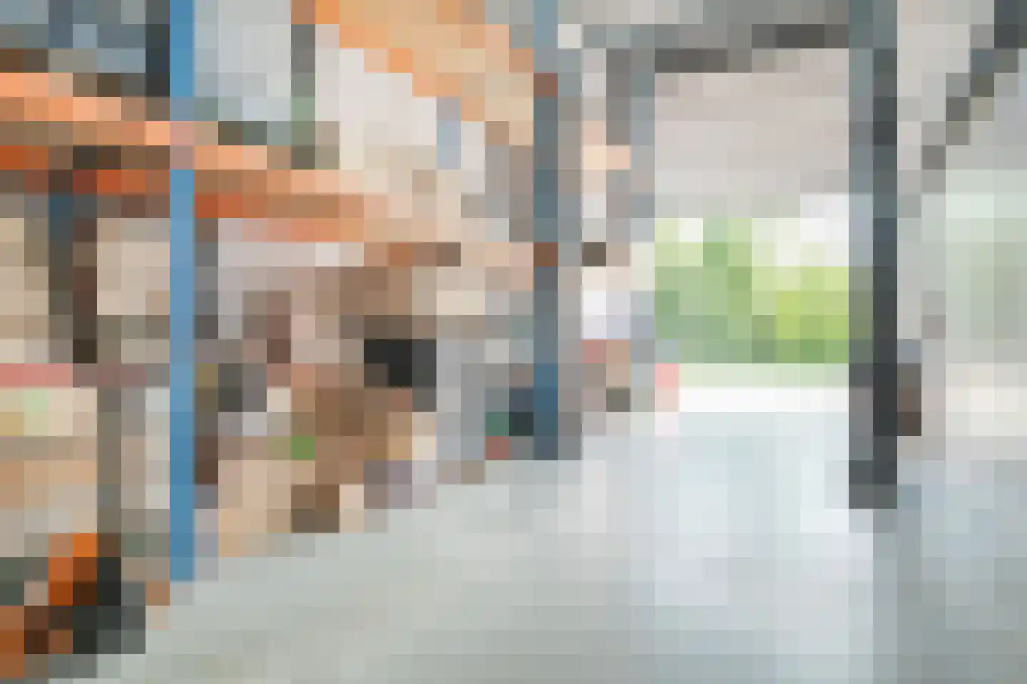 Seestjer 1 Stiens thumbnail 27