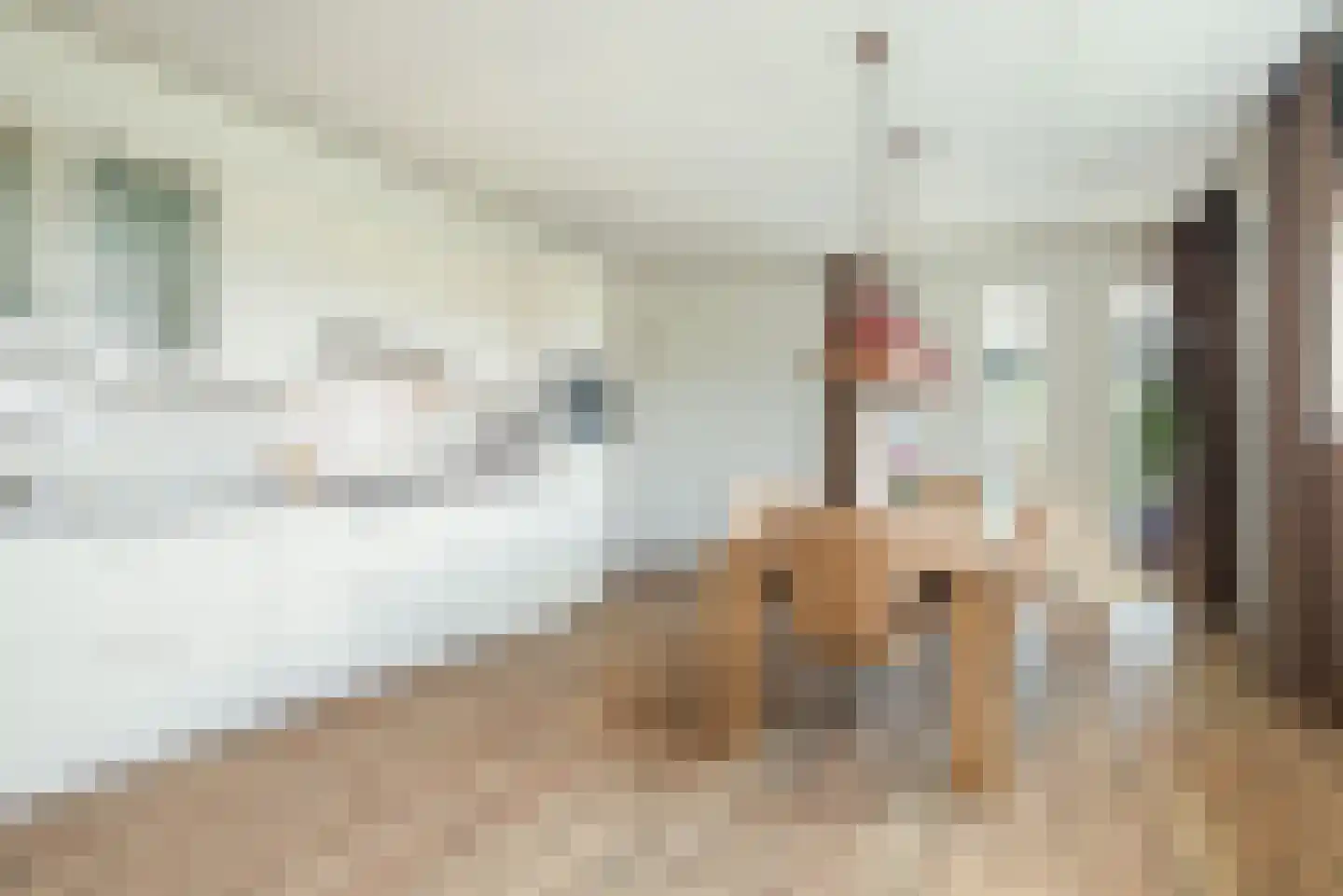 Seestjer 1 Stiens foto 3