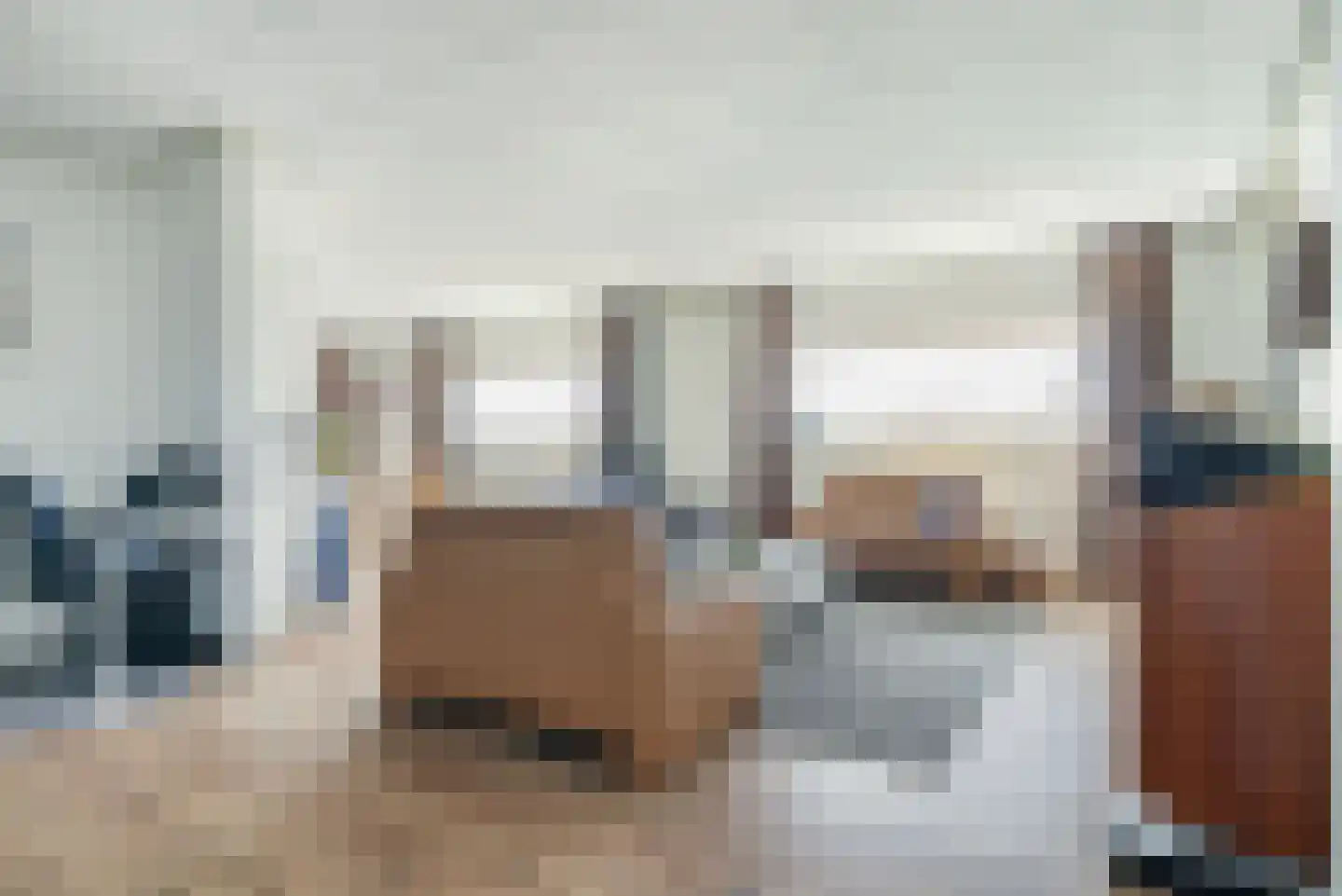Seestjer 1 Stiens thumbnail 5