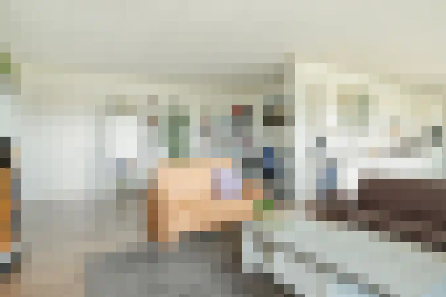 Seestjer 1 Stiens thumbnail 6