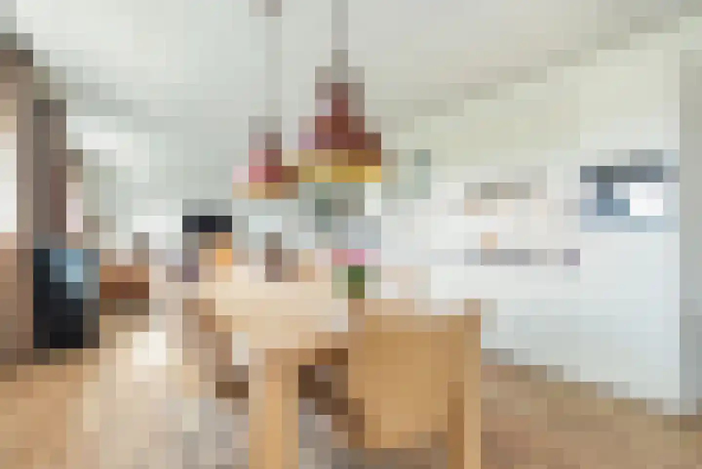 Seestjer 1 Stiens thumbnail 7