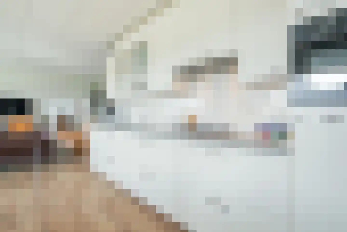 Seestjer 1 Stiens thumbnail 8
