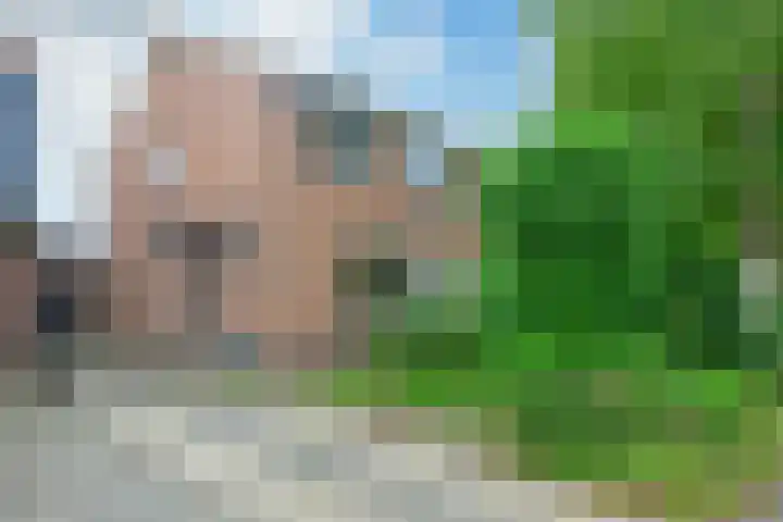 Seevancksweg 11 dans Oosthuizen