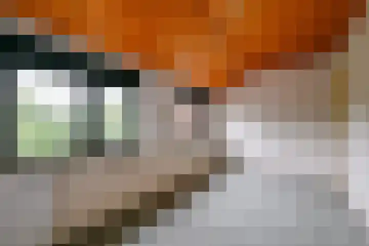 Seevancksweg 11 Oosthuizen thumbnail 10