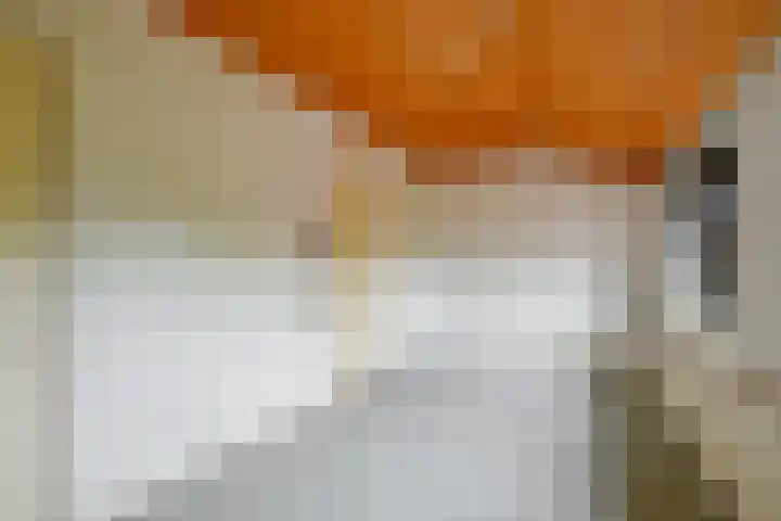 Seevancksweg 11 Oosthuizen thumbnail 11