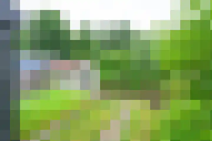 Seevancksweg 11 Oosthuizen thumbnail 19