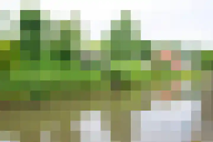Seevancksweg 11 Oosthuizen foto 2