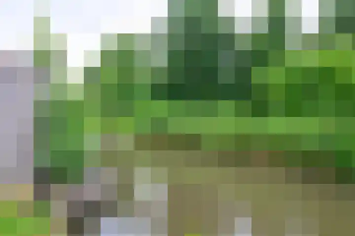 Seevancksweg 11 Oosthuizen thumbnail 20