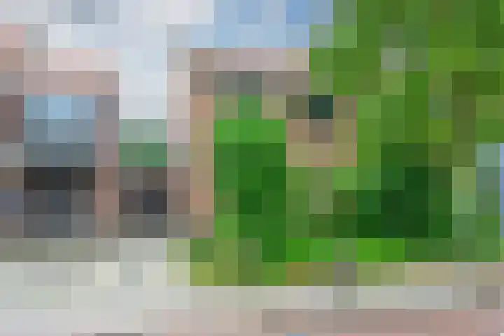 Seevancksweg 11 Oosthuizen thumbnail 21