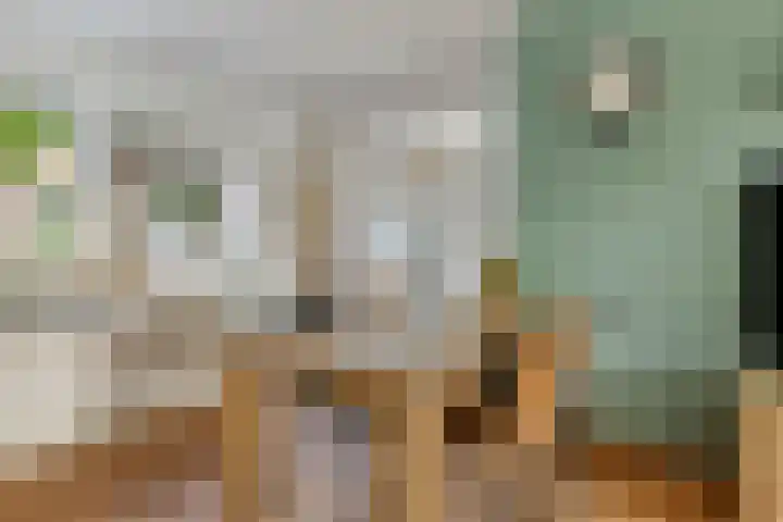 Seevancksweg 4 Oosthuizen thumbnail 13