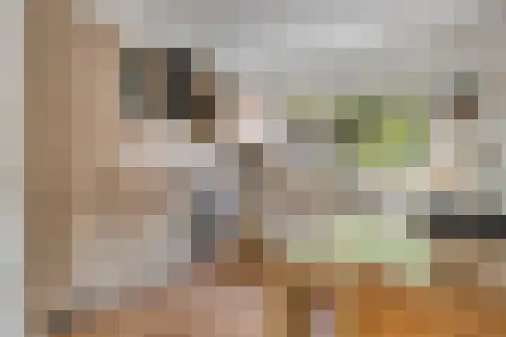 Seevancksweg 4 Oosthuizen thumbnail 14