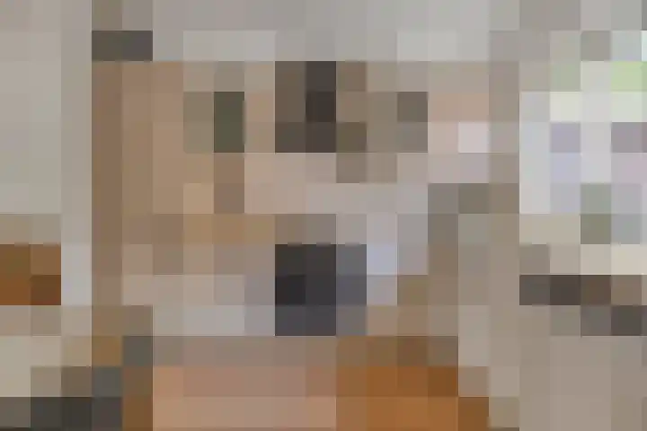 Seevancksweg 4 Oosthuizen foto 3