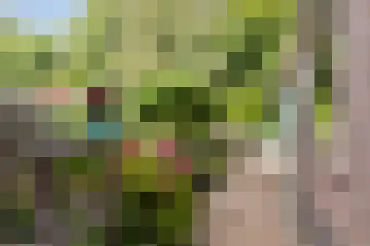 Seevancksweg 4 Oosthuizen thumbnail 30