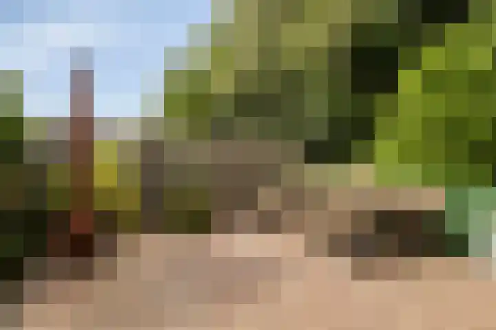 Seevancksweg 4 Oosthuizen thumbnail 32