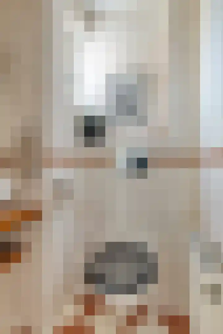 Seevancksweg 4 Oosthuizen thumbnail 9
