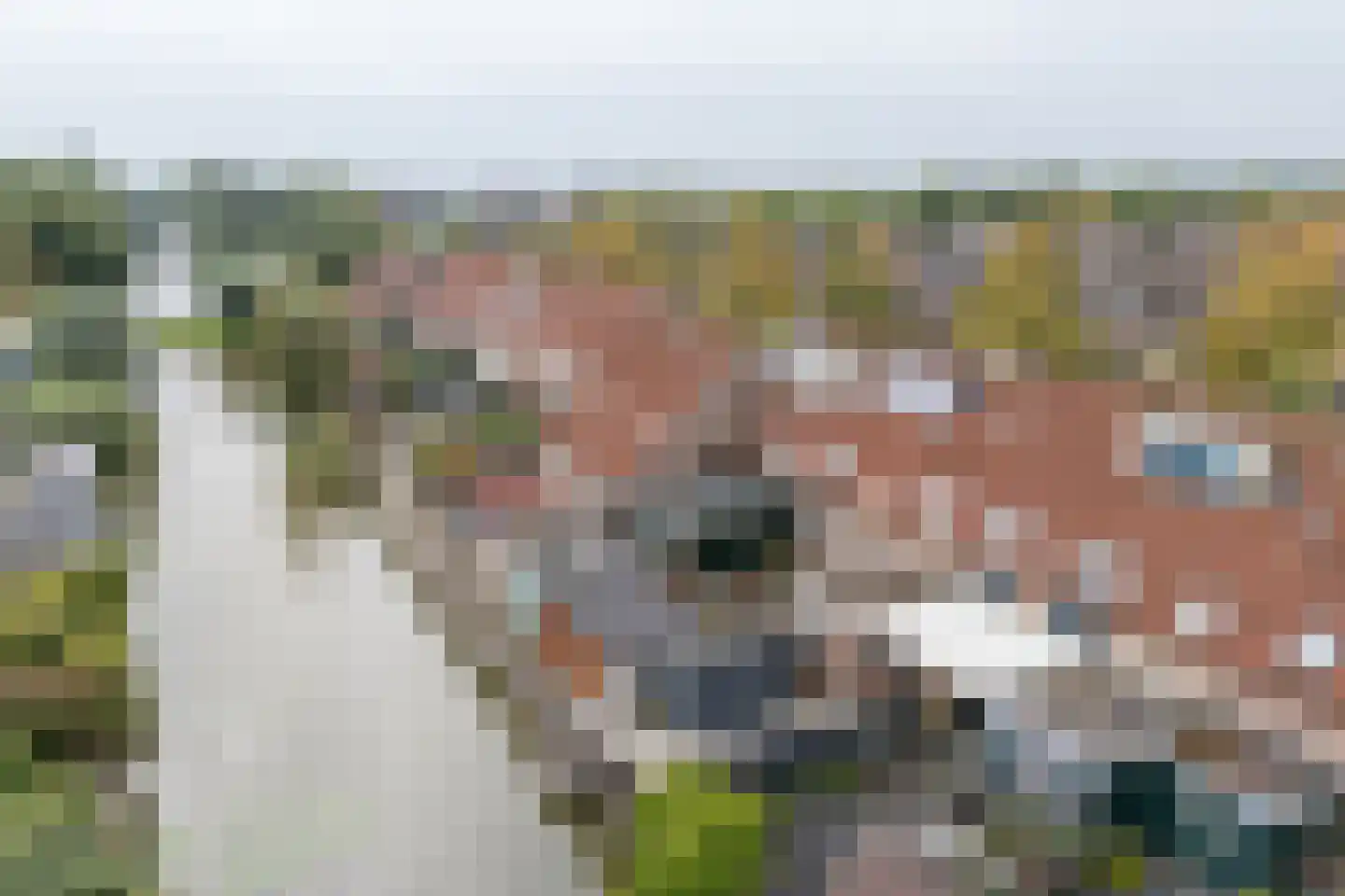 Seevancksweg 58 in Oosthuizen