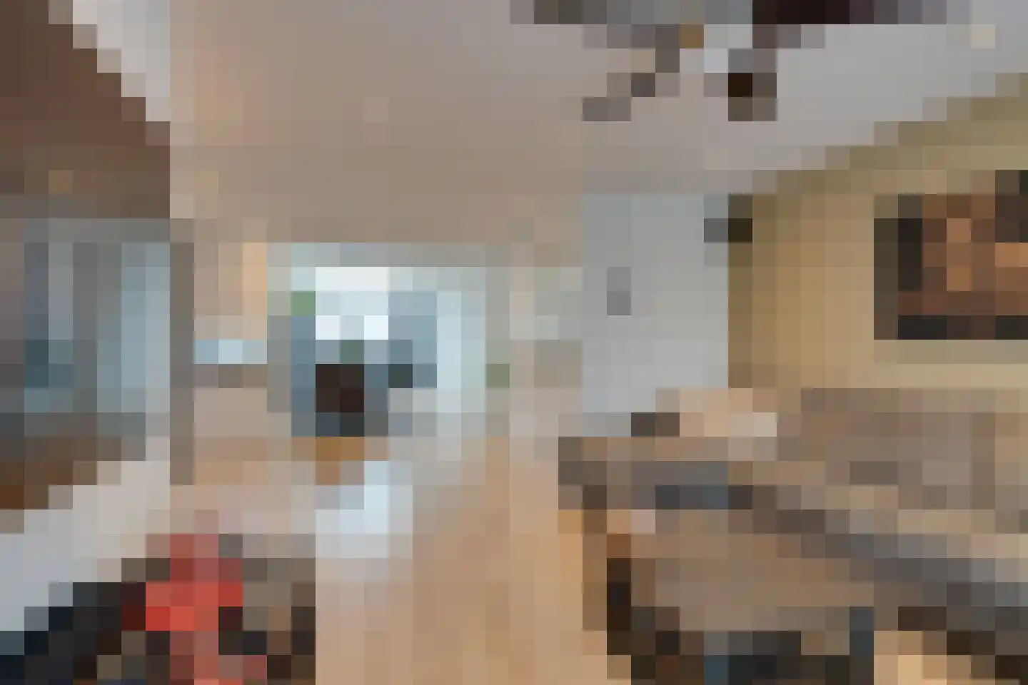 Seevancksweg 58 Oosthuizen thumbnail 16