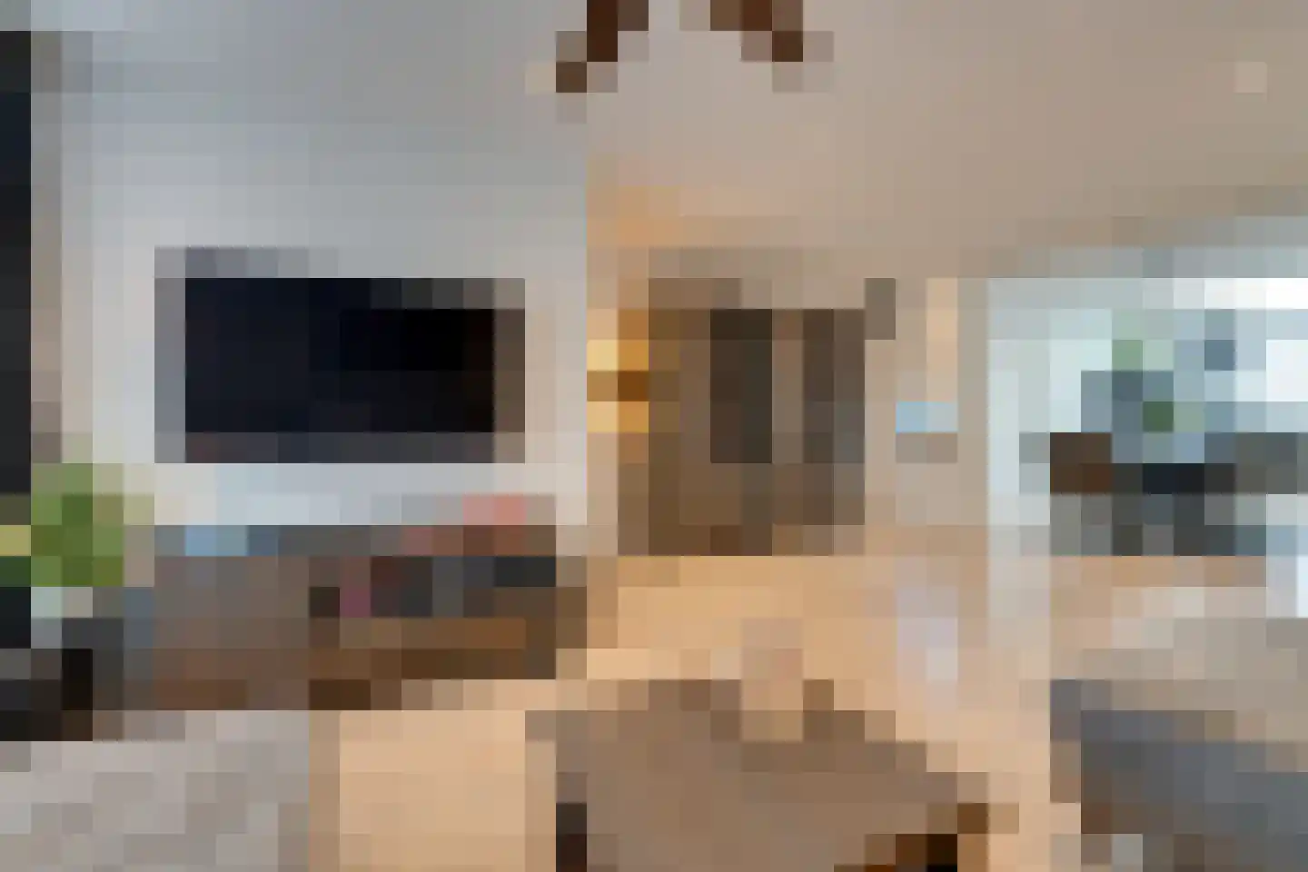 Seevancksweg 58 Oosthuizen thumbnail 17