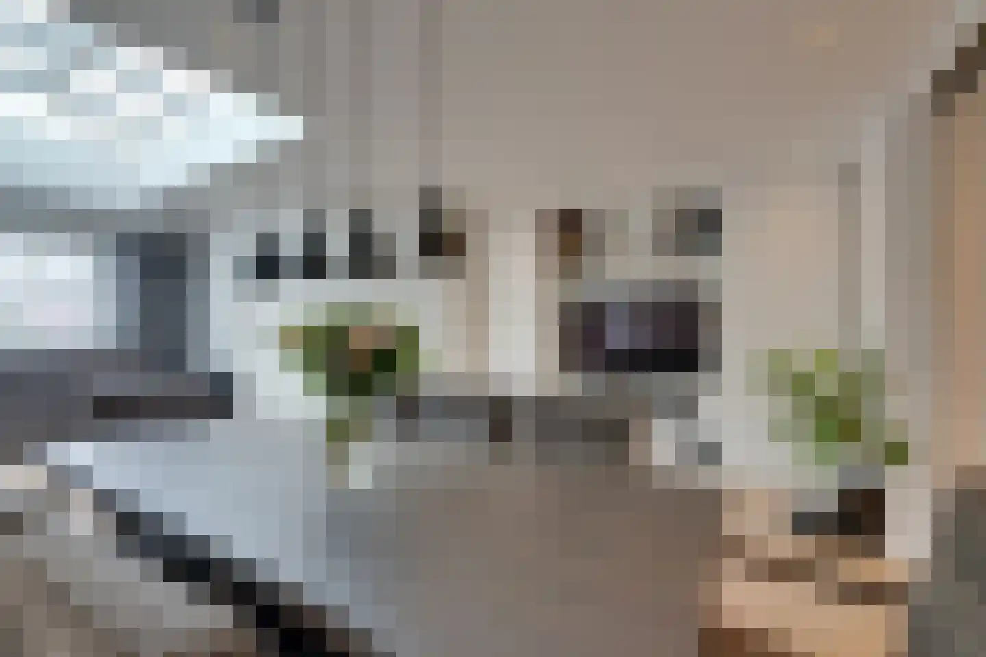 Seevancksweg 58 Oosthuizen thumbnail 23
