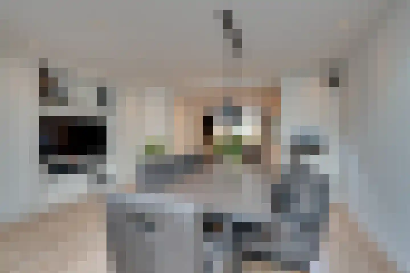 Seevancksweg 58 Oosthuizen thumbnail 24