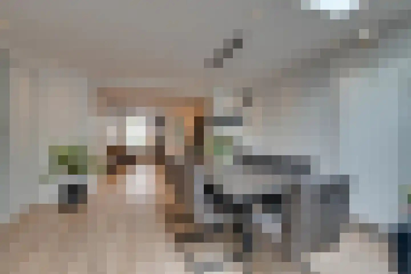 Seevancksweg 58 Oosthuizen thumbnail 25