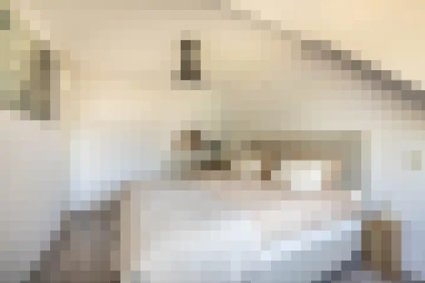 Seevancksweg 61 Oosthuizen thumbnail 24