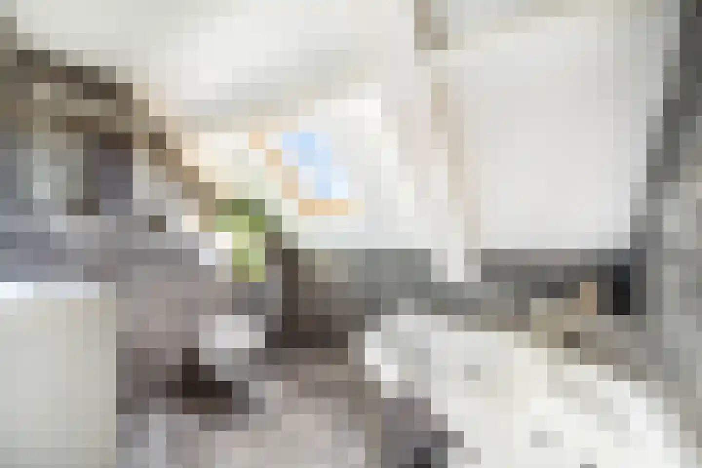 Seevancksweg 61 Oosthuizen thumbnail 31