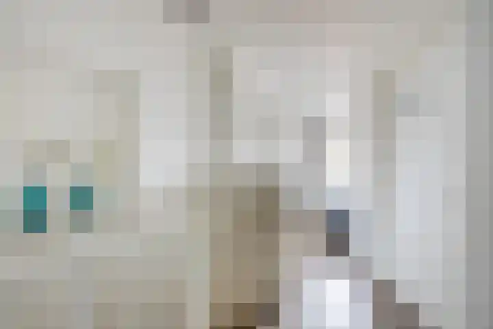 Seevancksweg 7 Oosthuizen thumbnail 28