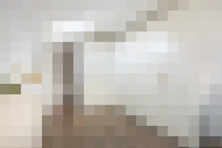 Seevancksweg 7 Oosthuizen thumbnail 32