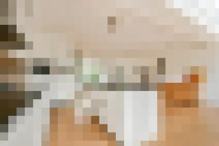 Seevank 10 Zwanenburg thumbnail 10