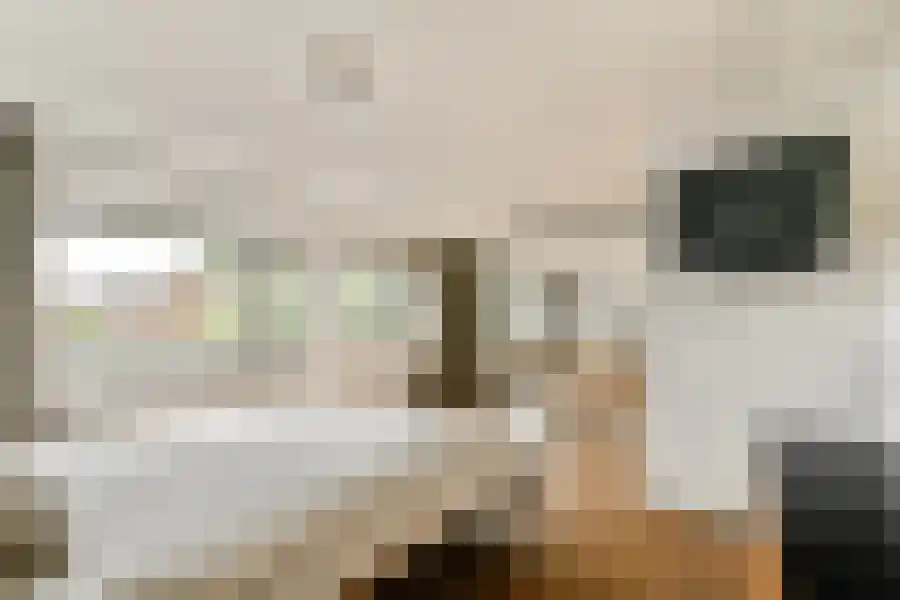 Seevank 10 Zwanenburg thumbnail 13