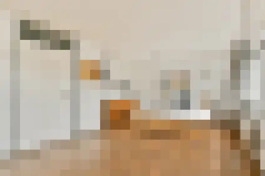 Seevank 10 Zwanenburg thumbnail 14
