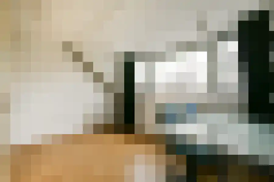 Seevank 10 Zwanenburg thumbnail 21