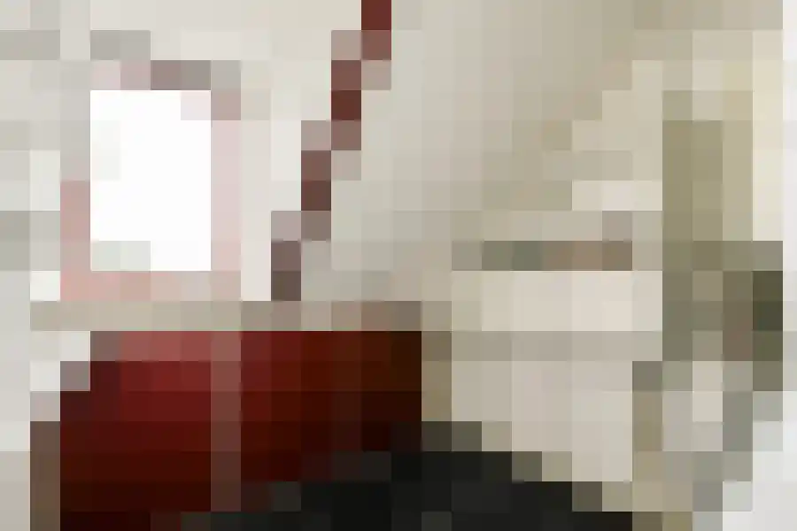 Seevank 10 Zwanenburg thumbnail 23