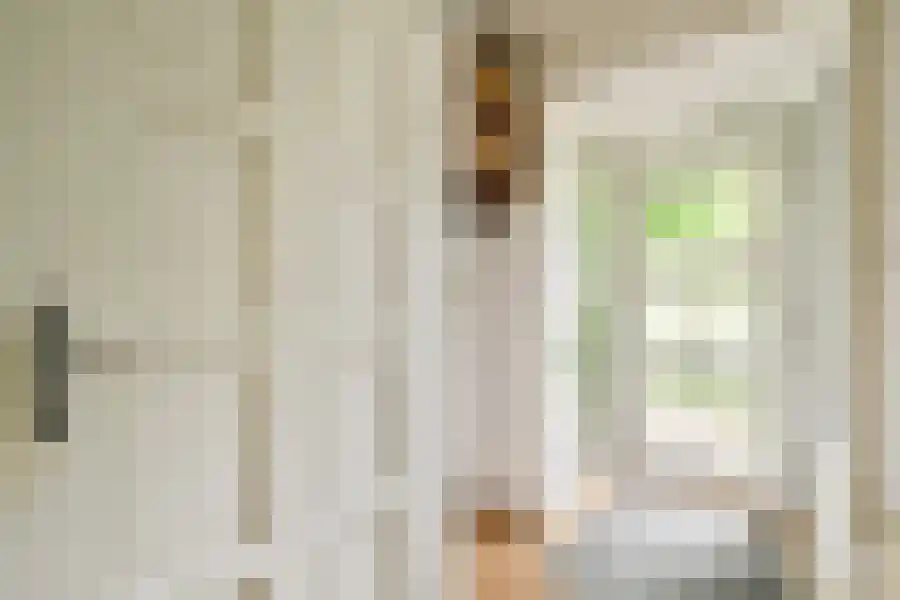 Seevank 10 Zwanenburg thumbnail 4