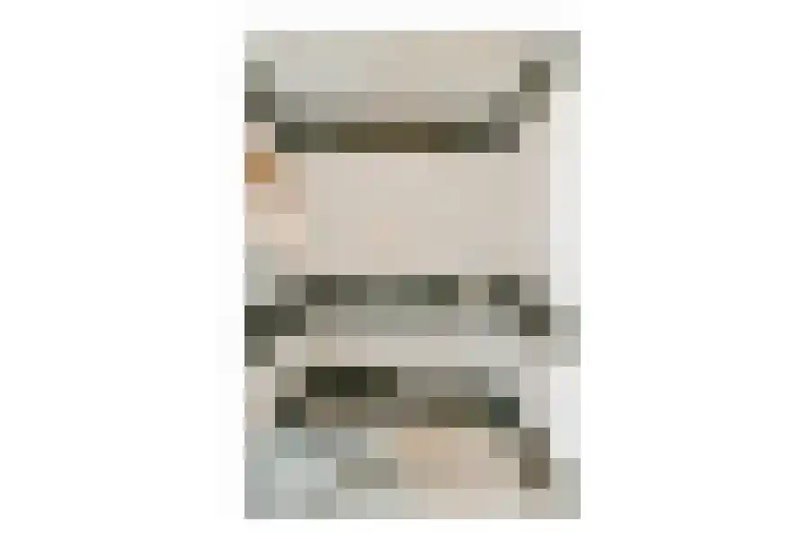 Seevank 10 Zwanenburg thumbnail 5