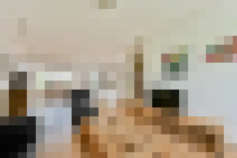 Seevank 10 Zwanenburg thumbnail 6