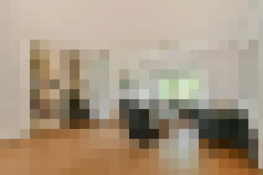 Seevank 10 Zwanenburg thumbnail 8