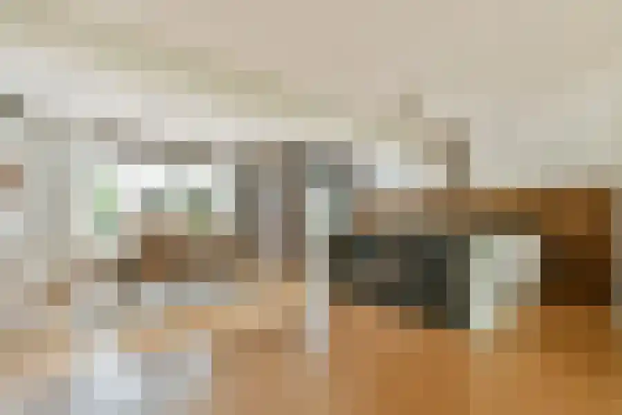 Seevank 10 Zwanenburg thumbnail 9