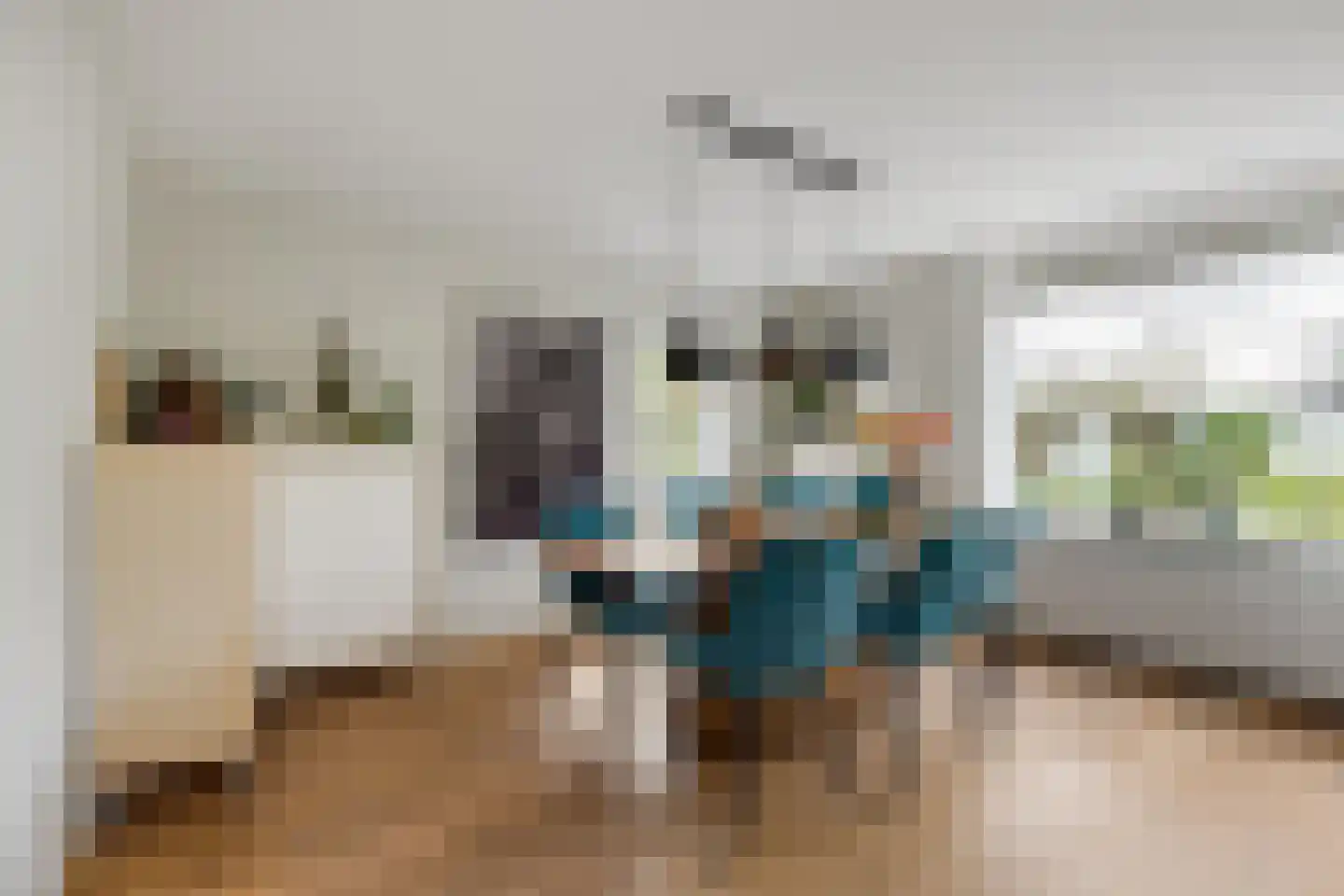 Seevank 218 Zwanenburg thumbnail 11