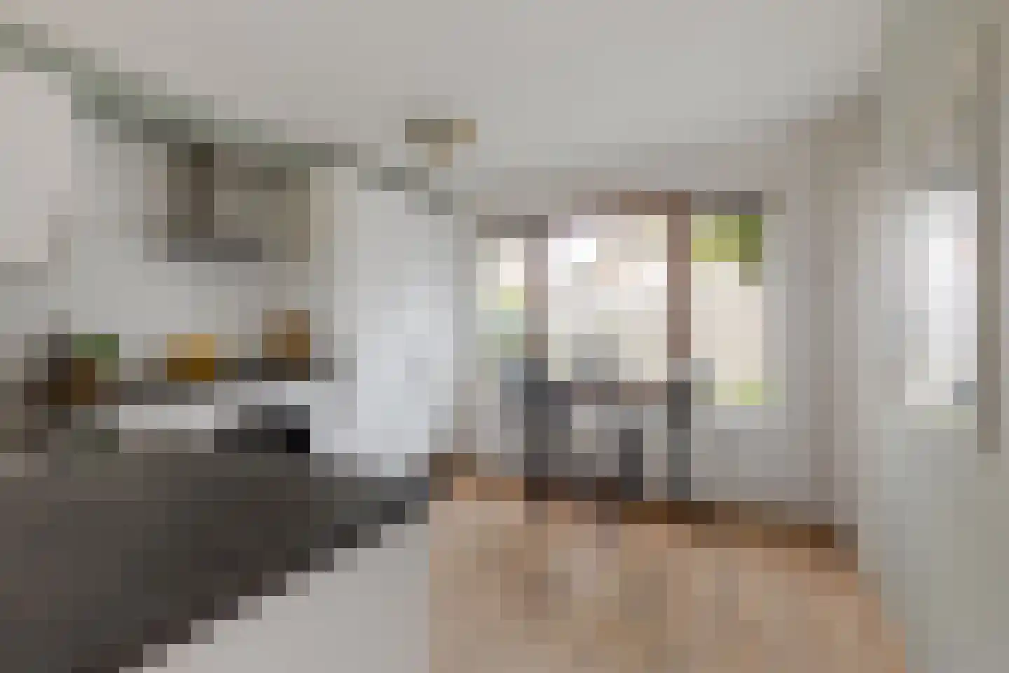 Seevank 218 Zwanenburg thumbnail 12