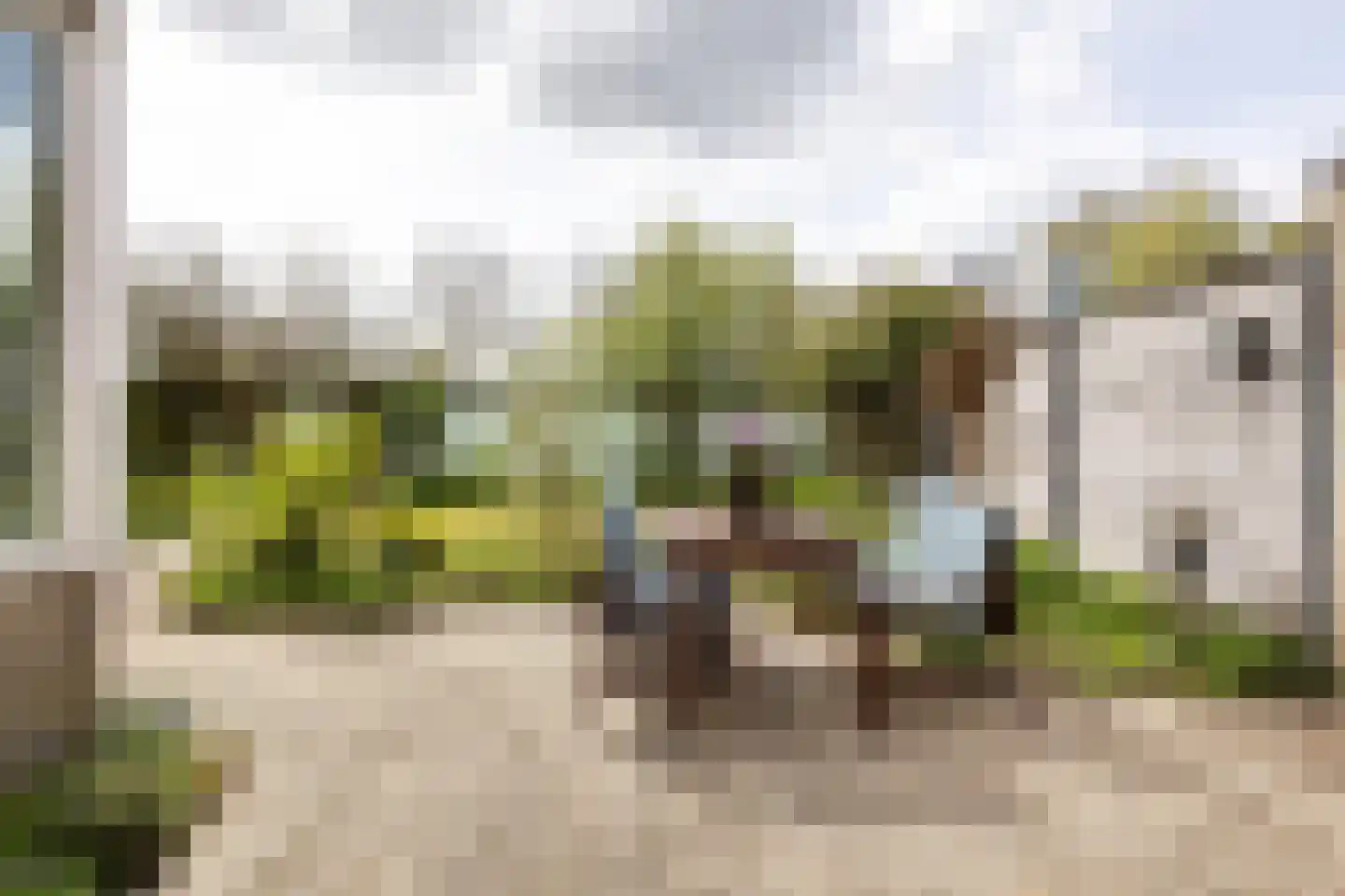 Seevank 218 Zwanenburg thumbnail 15