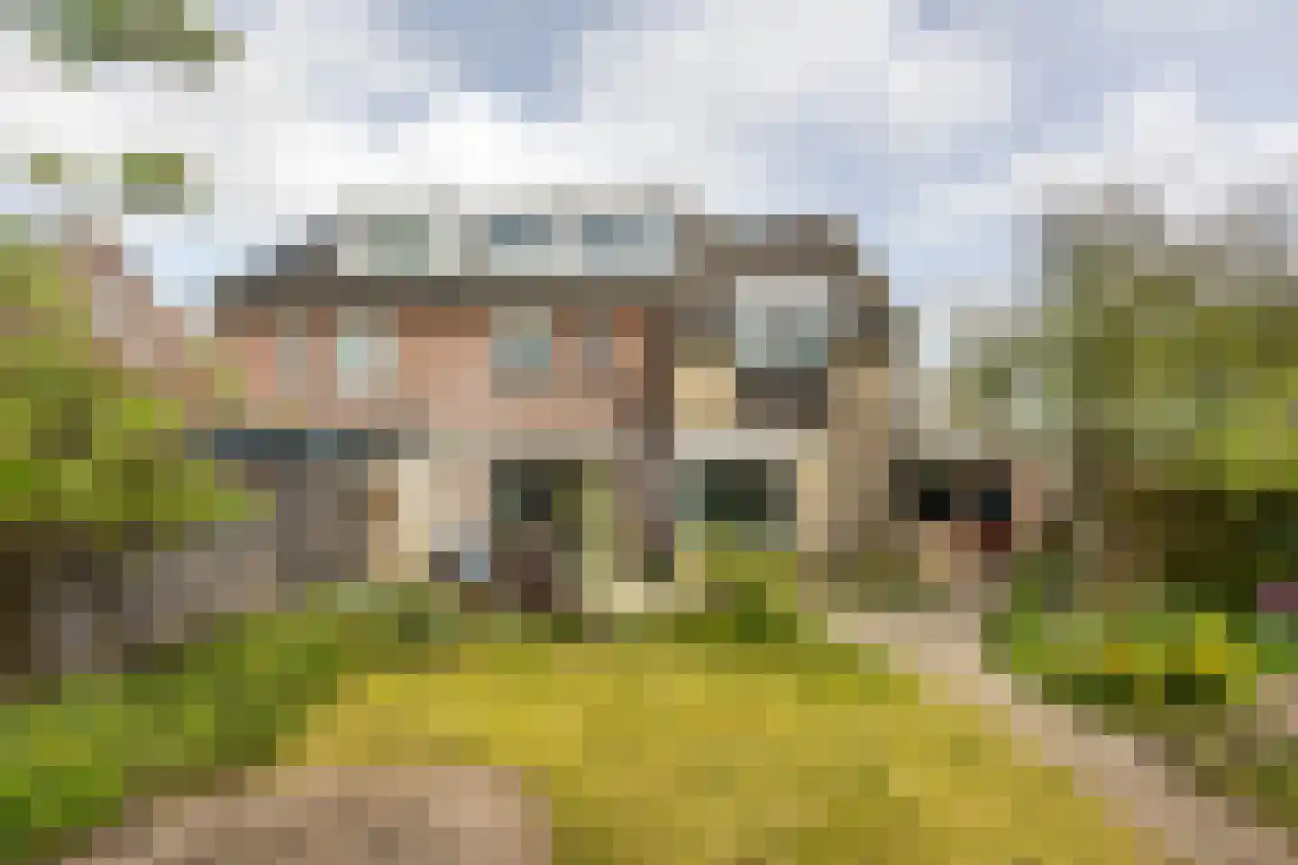 Seevank 218 Zwanenburg thumbnail 16