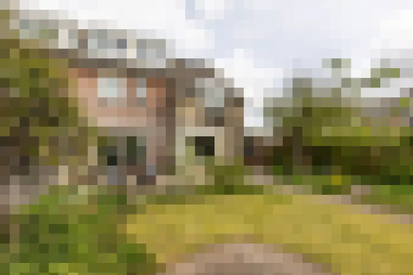 Seevank 218 Zwanenburg thumbnail 17