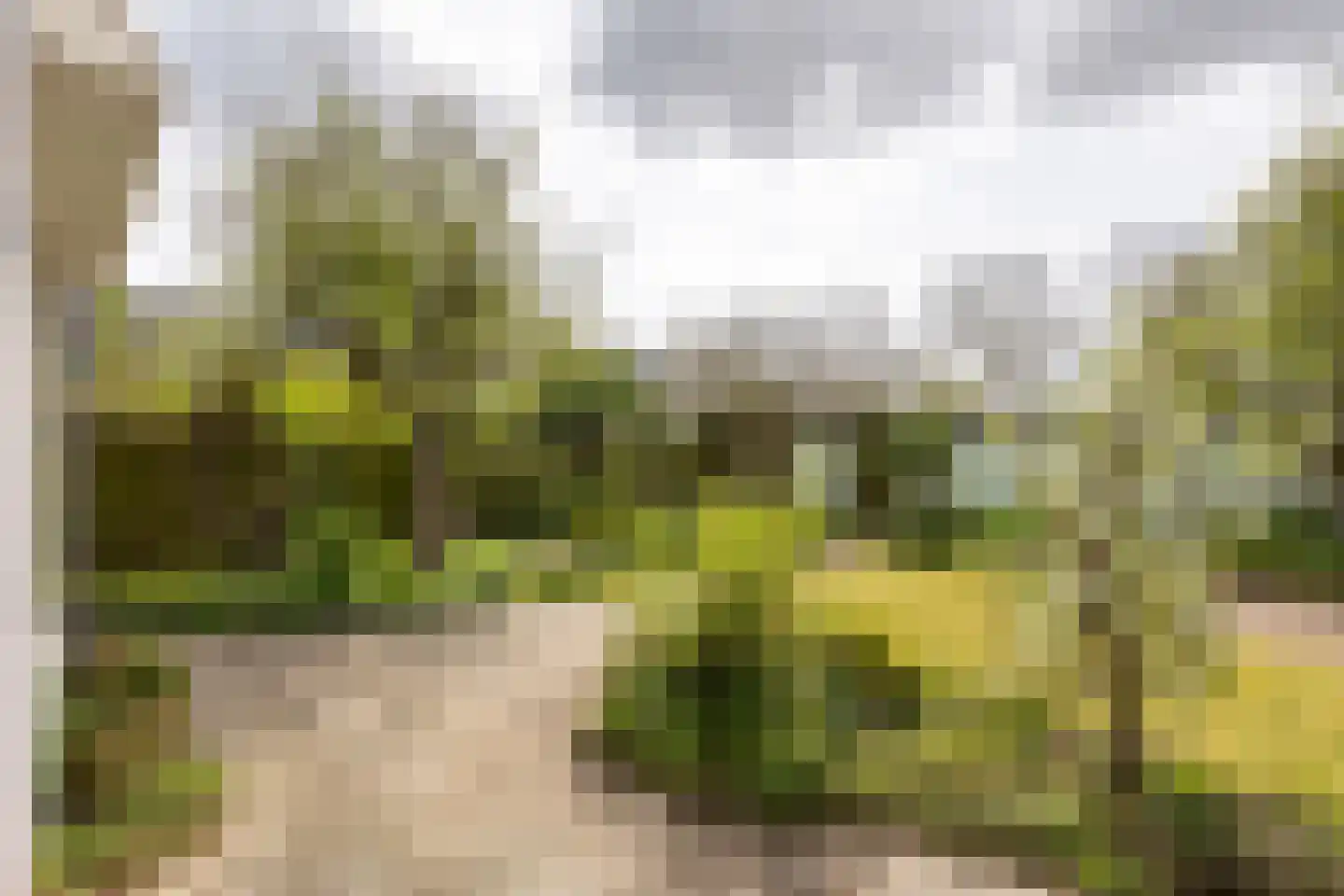 Seevank 218 Zwanenburg thumbnail 18